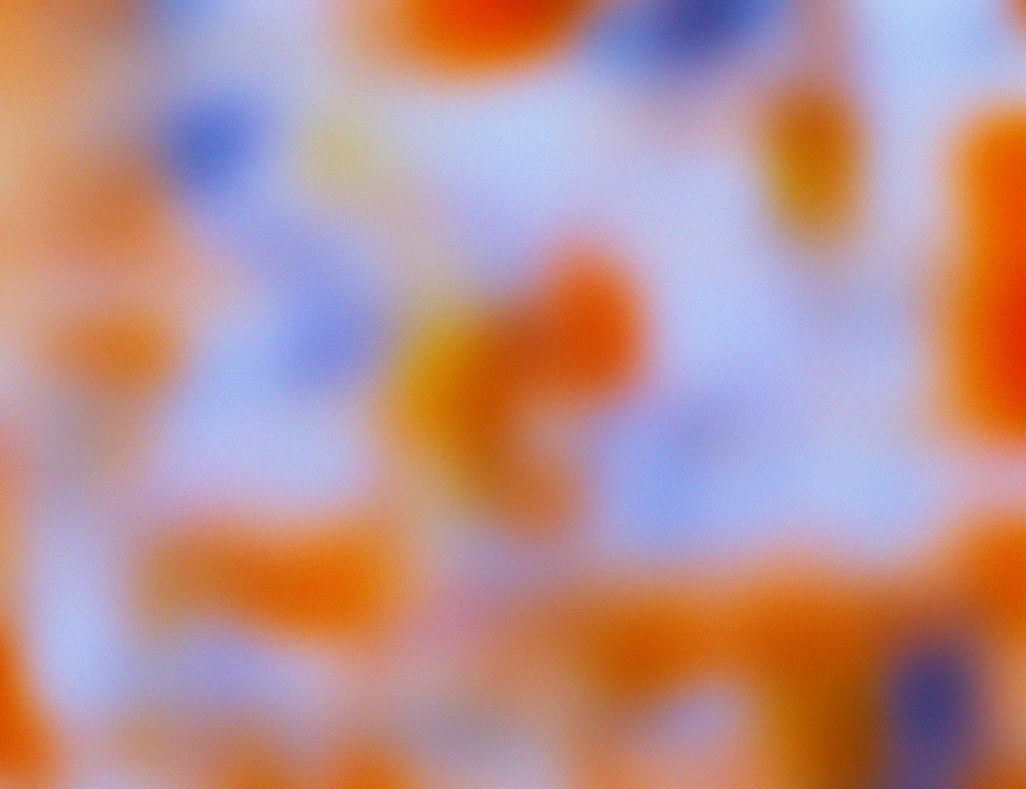 Abstract flowing shapes of orange and blue.
